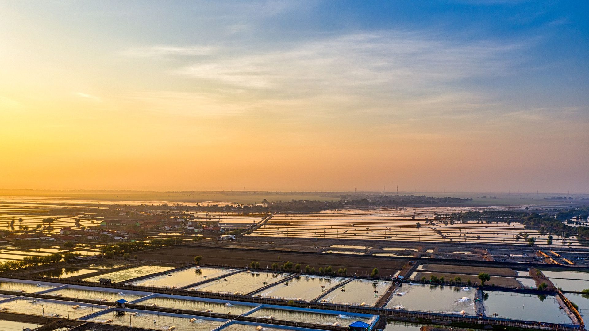 Vista aérea de tanques de aquacultura alinhados junto ao mar, ao pôr do sol